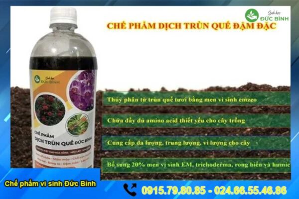 Dịch trùn quế Đức Bình chuyên biệt cho hoa hồng, hoa lan, rau quả