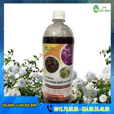Tác dụng của dịch trùn quế cho hoa hồng