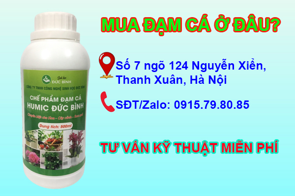 Cách sử dụng đạm cá hiệu quả cho từng loại cây trồng 7 Mua đạm cá ở đâu giá rẻ, chất lượng, uy tín, chính hãng