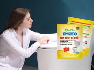Nguyên nhân và cách xử lý nhà vệ sinh bị hôi triệt để 1 Nguyên nhân và cách xử lý nhà vệ sinh bị hôi triệt để