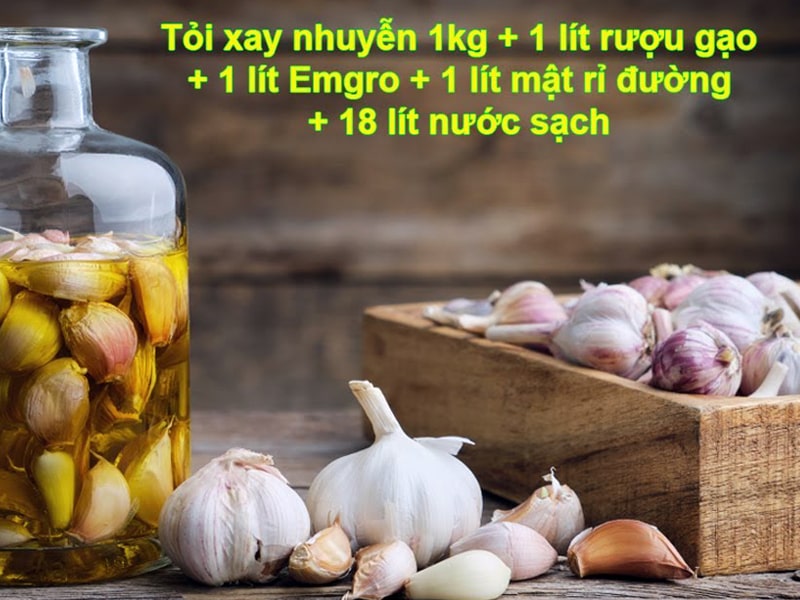 Chế phẩm EM tỏi có tác dụng gì? Cách ủ men tỏi cho vật nuôi tại nhà 3 Công thức làm chế phẩm Em tỏi từ chế phẩm Em gốc dạng dịch