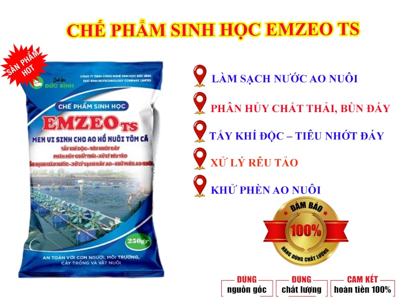 Chế phẩm sinh học xử lý môi trường ao nuôi thủy sản EmzeoTS 7 Men vi sinh xử lý nước ao nuôi tôm cá Emzeo TS sử dụng đơn giản mà hiệu quả cao