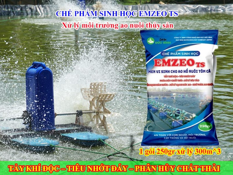Chế phẩm sinh học xử lý môi trường ao nuôi thủy sản EmzeoTS 6 Chế phẩm sinh học xử lý môi trường ao nuôi tôm cá Emzeo TS