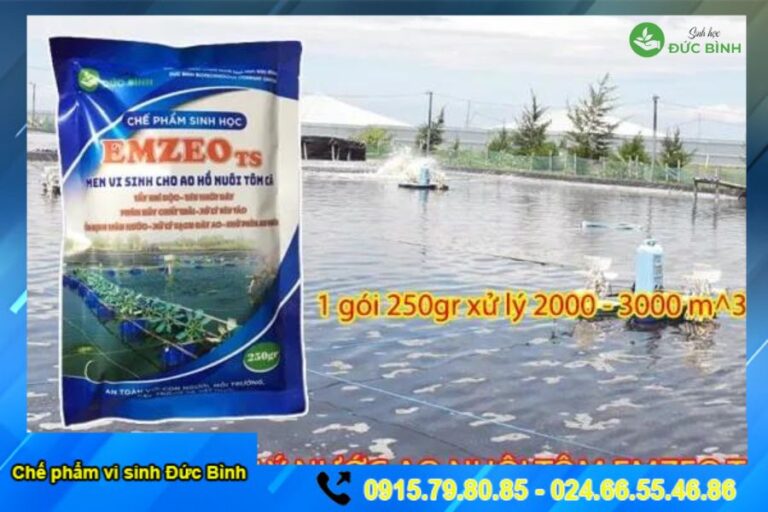 Cách sử dụng men vi sinh xử lý nước ao tôm EmzeoTS đơn giản, dễ thực hiện, hiệu quả cao