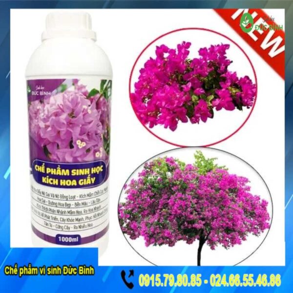 Thuốc kích hoa giấy của sinh học Đức Bình có nhiều ưu điểm nổi bật gấp 3 lần so với các sản phẩm thông thường