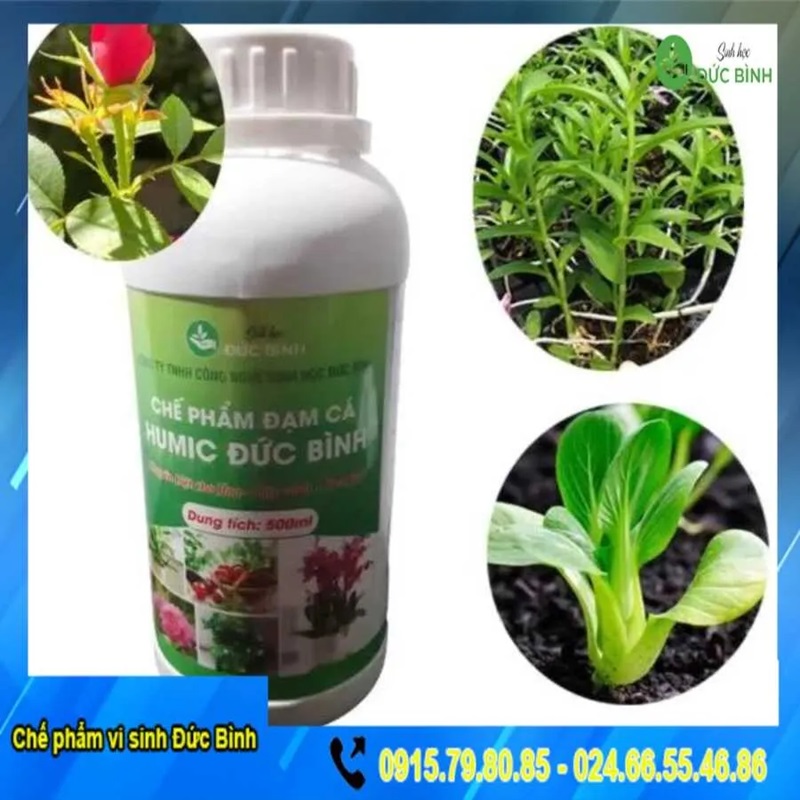 Đạm cá hữu cơ là một giải pháp bền vững cho nông nghiệp hiện đại