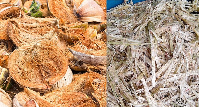 Lượng phế phẩm nông nghiệp thải ra tại Việt Nam hàng năm là rất lớn