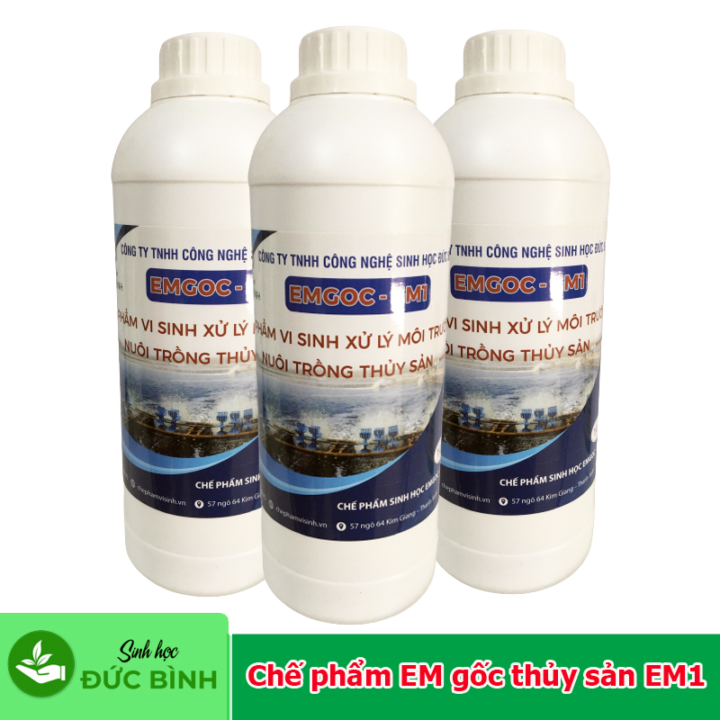 Chế phẩm EM gốc thủy sản – EM1 dùng để sản xuất ra EM2, EM chuối, EM rượu, EM tỏi ...