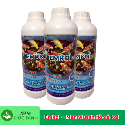 Men vi sinh xử lý nước hồ cá koi – Emkoi