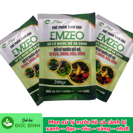 Men xử lý nước hồ cá cảnh bị xanh – đục – rêu – vàng – nhớt