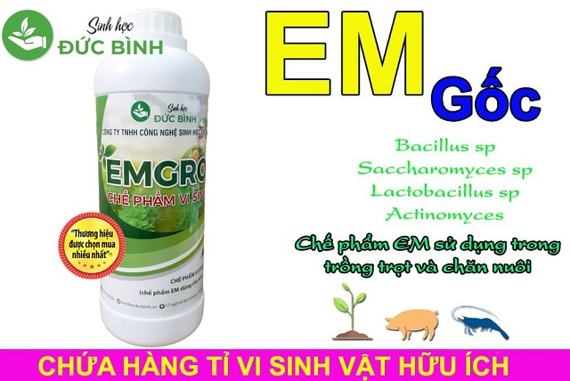 Original EM products are used a lot in the field of farming