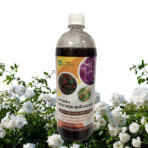 Tác dụng của dịch trùn quế cho hoa hồng