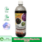 Dịch trùn quế Đức Bình chuyên biệt cho hoa hồng, hoa lan, rau quả