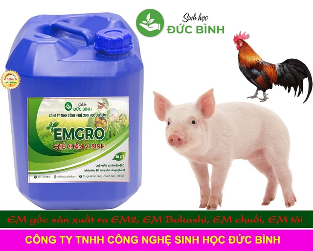 Original EM applied in livestock