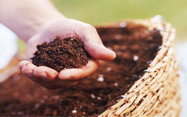 Phân bón vi sinh vật ức chế mầm bệnh và giữ ẩm cho đất