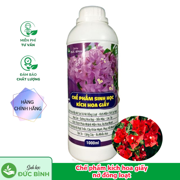 Chế phẩm thuốc kích hoa giấy ra hoa đồng loạt