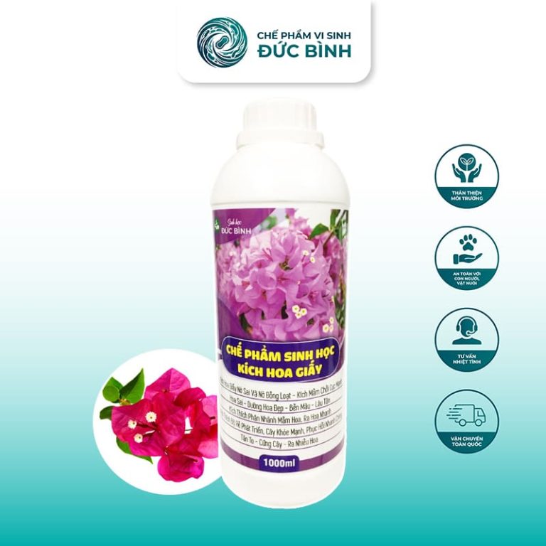 Chế phẩm thuốc kích hoa giấy ra hoa đồng loạt
