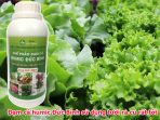 Đạm cá humic Đức Bình sử dụng tưới ra củ rất tốt