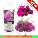Thuốc kích hoa giấy của sinh học Đức Bình có nhiều ưu điểm nổi bật gấp 3 lần so với các sản phẩm thông thường