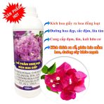 Thuốc kích hoa giấy ra hoa đồng loạt là sản phẩm được nghiên cứu và sản xuất độc quyền bở công ty TNHH Công nghệ sinh học Đức Bình