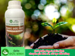 Chế phẩm Humic Đức Bình – chuyên gia kích rễ, cải tạo đất trồng Mạnh rễ - Mạnh cây – Màu mỡ đất