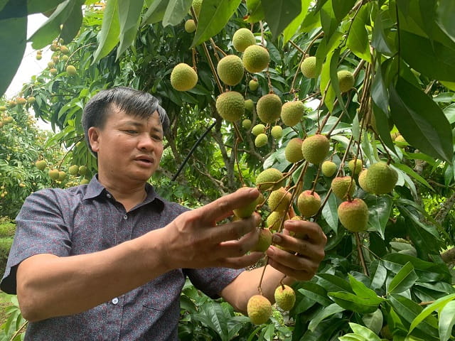 Sản phẩm được làm từ men vi sinh an toàn cho người dùng và cây trồng