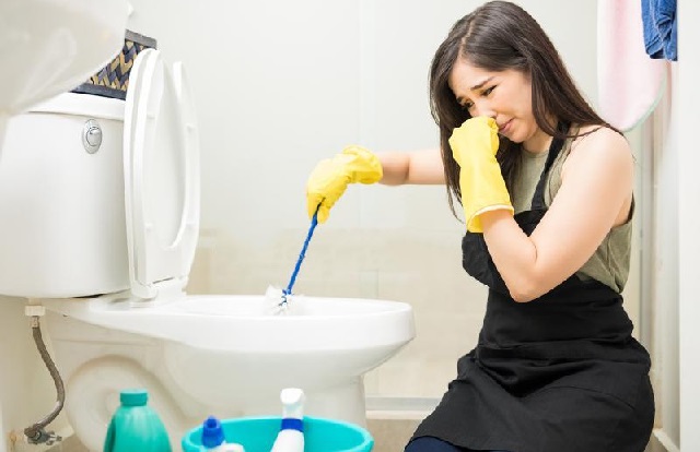 Các chất thải khó phân hủy ứ đọng khiến bồn cầu tắc nghẽn và bốc mùi
