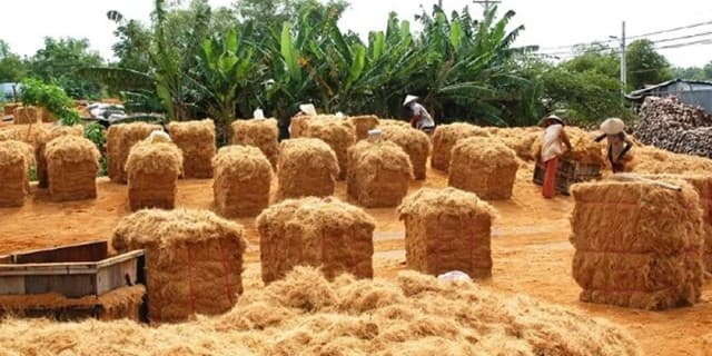 Conventional composting is a popular method.