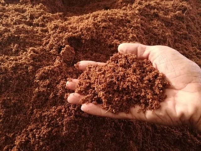 Composting coconut fiber provides a good environment for plants.