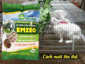 The way to raise rabbits for odor-free meat is to use the product EMZEO periodically
