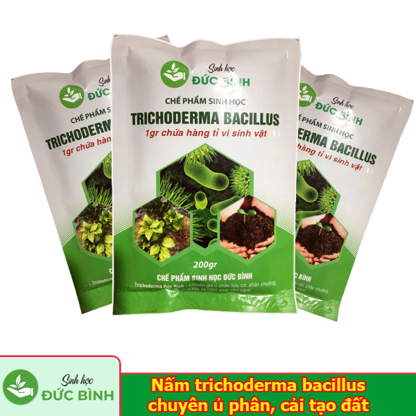 Nấm trichoderma Bacillus dùng ủ phân và đối kháng nấm bệnh hại cây trồng