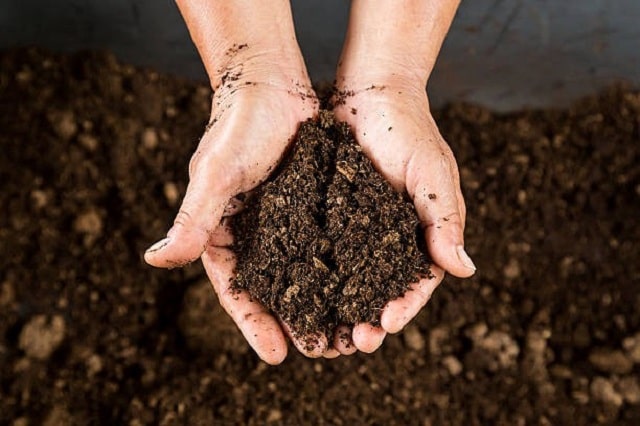 Soil is the thin mineral layer that surrounds the earth's surface