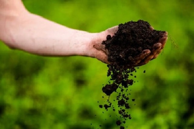 Using biological products provides nutrients in the soil