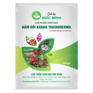 Trichoderma antagonistic fungal biological product for irrigation of roses and orchids