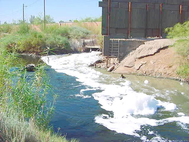 How to limit eutrophication