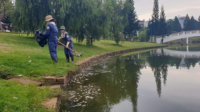 How to handle eutrophication