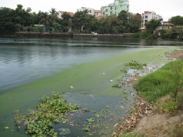Why does eutrophication occur?