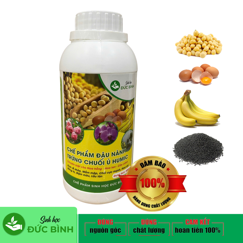 Chế phẩm đậu nành ủ trứng chuối humic của Công ty TNHH Công nghệ sinh học Đức Bình - Một sản phẩm chuyên dụng dành cho hoa hồng, hoa lan, cây cảnh
