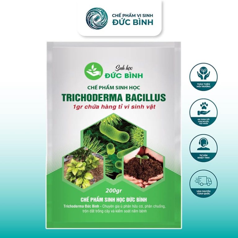 Chế phẩm trichoderma Bacillus chứa các chủng vi sinh ủ phân nhanh chóng hoai mục cực kỳ hiệu quả