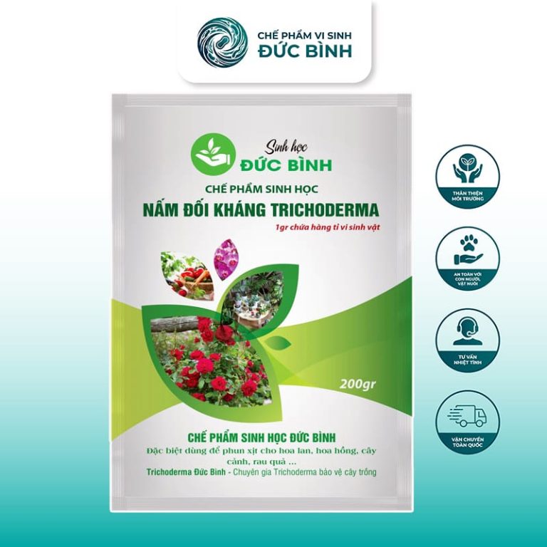 Chế phẩm trichoderma tưới cây Đức Bình cung cấp dòng nấm đối kháng trichoderma giúp cây trồng khỏe mạnh và phòng chống các bệnh về nấm hại cây hiệu quả cao