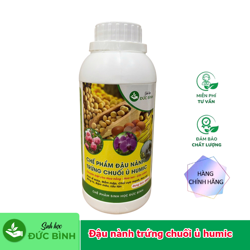 Ảnh 2
