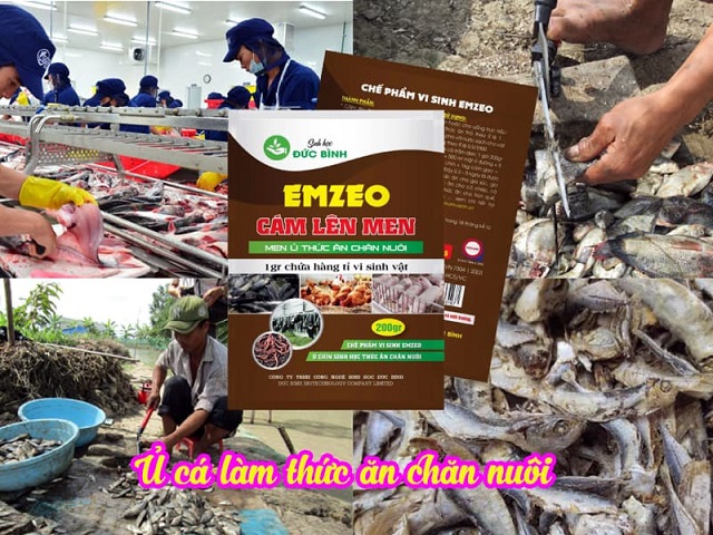 Liều lượng và cách sử dụng