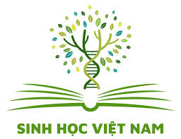 sinhhocvietnam.com.vn