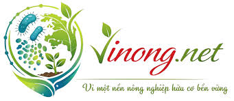 vinong.net
