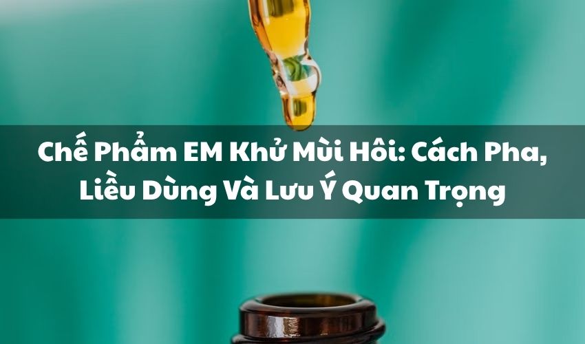 avt che pham em khu mui hoi