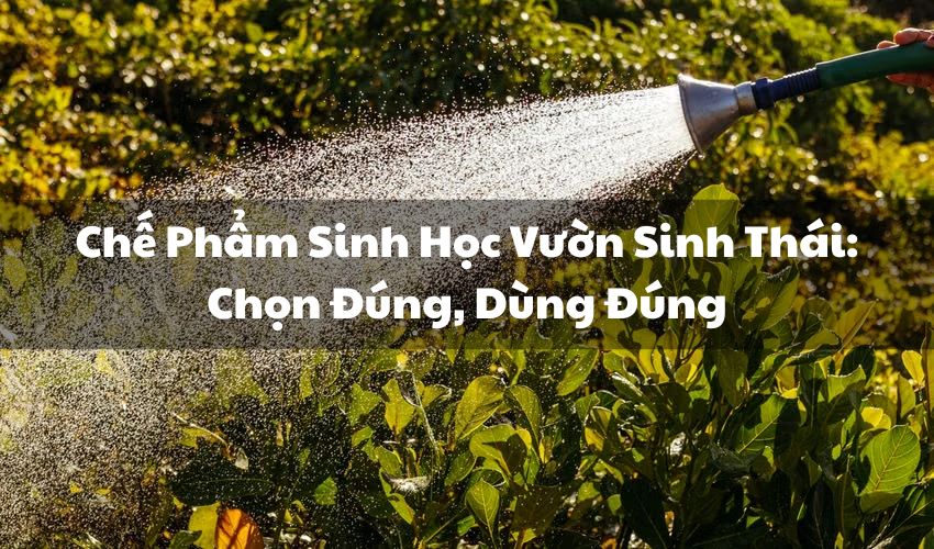 avt che pham sinh hoc vuon sinh thai