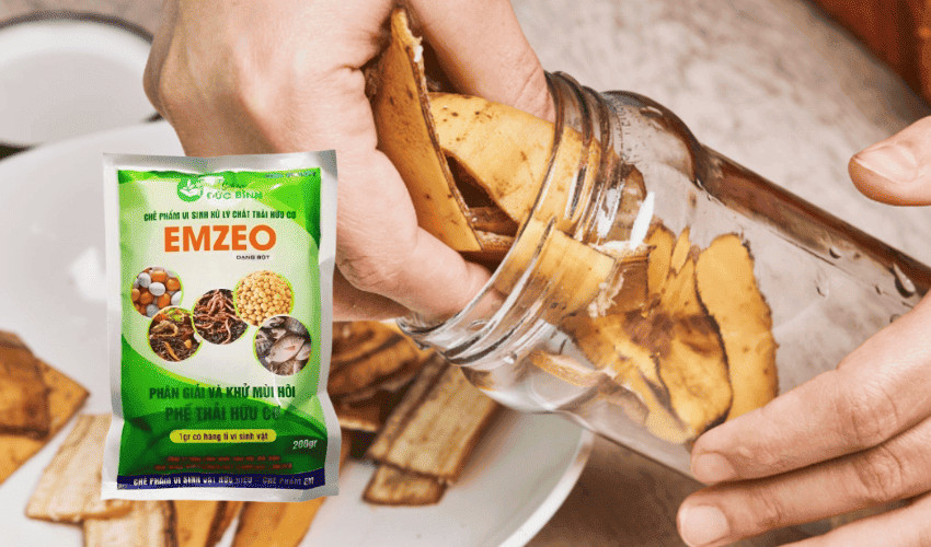 Ủ phân dịch chuối bằng chế phẩm vi sinh EMZEO