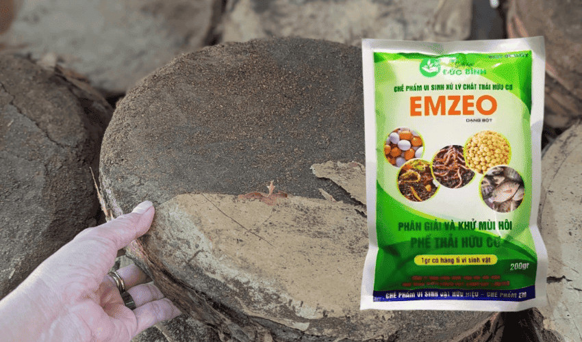 Cách ủ bánh dầu không hôi nhờ chế phẩm EMZEO