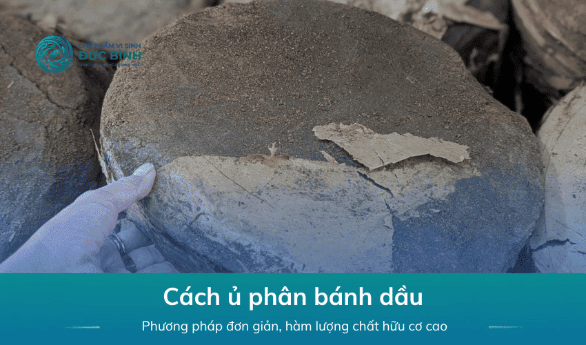 Cách ủ phân bánh dầu không hôi bón cây an toàn