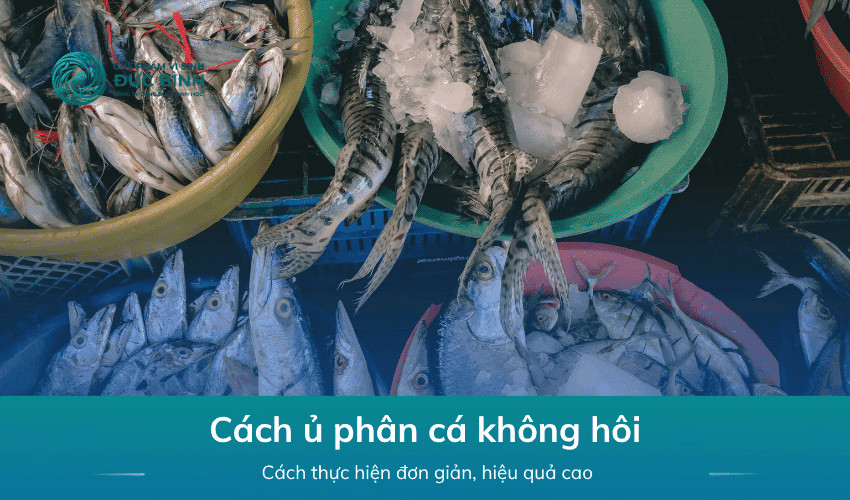 Cách ủ phân cá không hôi làm đạm cá bón cây